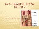 Bài giảng Đại cương bướu đường tiết niệu - PGS.TS. Nguyễn Tuấn Vinh