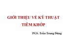 Bài giảng Giới thiệu về kỹ thuật tiêm khớp - PGS. Trần Trung Dũng