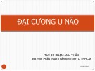 Bài giảng Đại cương u não - ThS.BS. Phạm Anh Tuấn