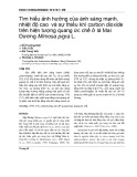 Tìm hiểu ảnh hưởng của ánh sáng mạnh, nhiệt độ cao và sự thiếu khí carbon dioxide trên hiện tượng quang ức chế ở lá Mai Dương Mimosa pigra L.