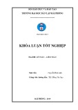 Khóa luận tốt nghiệp ngành Kế toán - Kiểm toán: Hoàn thiện công tác kế toán doanh thu, chi phí và xác định kết quả kinh doanh tại công ty Cổ phần Đầu tư Hồng Bàng