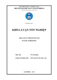 Khóa luận tốt nghiệp ngành Marketing: Giải pháp thúc đẩy phát triển thị trường tiêu thụ tại công ty CP ĐT XD TM Huy Vũ