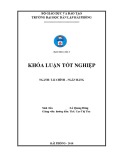 Khóa luận tốt nghiệp Tài chính - Ngân hàng: Giải pháp nâng cao hiệu quả sử dụng vốn kinh doanh tại Công ty TNHH phát triển công nghệ và truyền thông Hoàng Tuấn