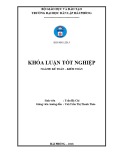 Khóa luận tốt nghiệp Kế toán - Kiểm toán: Hoàn thiện công tác kế toán doanh thu, chi phí và xác định kết quả kinh doanh tại Công ty Cổ phần đầu tư Lê Bảo Minh