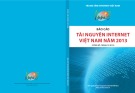 Báo cáo tài nguyên Internet Việt Nam năm 2013