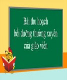 Bài thu hoạch Bồi dưỡng thường xuyên năm học 2018-2019