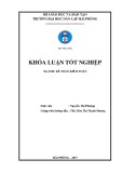 Khóa luận tốt nghiệp Kế toán - Kiểm toán: Hoàn thiện công tác lập và phân tích bảng cân đối kế toán tại Công ty TNHH Tân Việt Cường