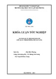 Khóa luận tốt nghiệp Quản trị kinh doanh: Một số biện pháp nâng cao hiệu quả sử dụng nguồn nhân lực tại Công ty TNHH Gas Petrolimex Hải Phòng