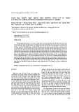 Nano bạc trong khử trùng môi trường nuôi cấy in vitro cây hoa cúc (Chrysanthemum morifolium Ramat cv. Jimba)