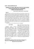 Nghiên cứu tính đa hình gen CYP2C19 và ảnh hưởng của nó lên đáp ứng với Clopidogrel ở bệnh nhân nhồi máu não