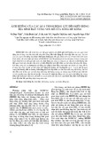 Ảnh hưởng của các quá trình động lực đến biến động địa hình đáy vùng ven bờ cửa sông Mê Kông