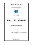 Kế toán tốt nghiệp Kế toán - Kiểm toán:  Hoàn thiện tổ chức vốn bằng tiền tại Công ty Cổ phần xây lắp điện Duyên Hải