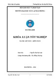 Khóa luận tốt nghiệp Kế toán - Kiểm toán: Hoàn thiện công tác lập và phân tích báo cáo kết quả hoạt động kinh doanh tại công ty cổ phần ắc quy Tia Sáng