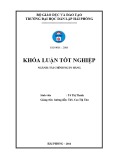 Khóa luận tốt nghiệp Tài chính - Ngân hàng: Giải pháp nâng cao hiệu quả chất lượng tín dụng tại Ngân hàng Thương Mại Cổ Phần Sài Gòn Thương Tín