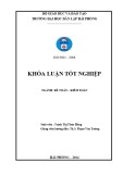 Kế toán tốt nghiệp Kế toán - Kiểm toán: Hoàn thiện công tác kế toán vốn bằng tiền tại Công ty cổ phần tư vấn đầu tư Việt Úc