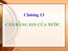 Bài giảng môn học Hóa đại cương: Chương 13 - Huỳnh Kỳ Phương Hạ