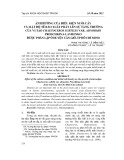 Ảnh hưởng của điều kiện nuôi cấy và mật độ tế bào xuất phát lên sự tăng trưởng của vi tảo Chaetoceros subtilis var. Abnormis Proschkina-Lavrenko được phân lập ở huyện Cần Giờ, TP. Hồ Chí Minh