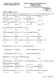 Đề kiểm tra giữa HK1 môn Toán 12 năm 2018-2019 có đáp án - Trường THPT Bùi Thị Xuân