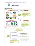 Tài liệu ôn tập Hóa học lớp 8 – Chương 2: Chủ đề Hiđro, nước