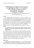 Đánh giá khả năng kiểm soát nấm Alternaria sp. gây bệnh đốm nâu trên lá cây chanh dây bằng chế phẩm Trichoderma atroviride T4