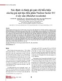 Xác định và đánh giá mức độ biểu hiện của họ gen mã hóa tiểu phần Nuclear factor-YC ở cây sắn (Manihot esculenta)