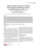 Nghiên cứu khả năng tạo rễ bất định Xáo tam phân (Paramignya trimera) trong điều kiện thủy canh in vivo