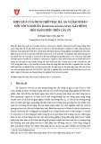 Hiệu quả của dịch chiết bạc hà, sả và bạch đàn đối với vi khuẩn Ralstonia solanacearum gây bệnh héo xanh trên trên cây ớt