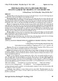 Tình trạng sống còn của trẻ em bị viêm thận do lupus tại Bệnh viện Nhi Đồng 2 từ năm 2010 đến 2018