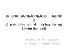 Bài giảng Điều trị đái tháo tháo đường típ 2 - Cập nhật thuốc hạ đường huyết uống (Nhóm thuốc cũ)