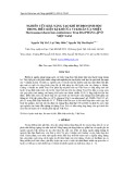 Nghiên cứu khả năng tạo khí Hydro sinh học trong điều kiện kị khí của vi khuẩn ưa nhiệt Thermoanaerobacterium Aciditolerans Trau Dat phân lập ở Việt Nam