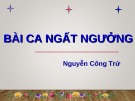 Bài giảng Ngữ văn 11: Bài ca ngất ngưởng - Nguyễn Công Trứ