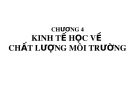 Bài giảng Kinh tế môi trường: Chương 4 - Nguyễn Ngọc Lan