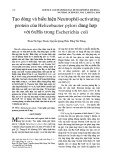 Tạo dòng và biểu hiện Neutrophil-activating protein của Helicobacter pylori dung hợp với 6xHis trong Escherichia coli