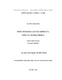 Luận văn Thạc sĩ: Phân tích báo cáo tài chính của Công ty Cổ phần Bibica