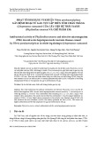 Hoạt tính kháng vi khuẩn vibrio parahaemolyticus gây bệnh hoại tử gan tụy cấp trên tôm chân trắng (litopenaeus vannamei) của cây chó đẻ thân xanh (phyllanthus amarus) và chế phẩm EM5