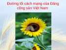 Bài giảng Đường lối cách mạng Đảng Cộng sản Việt Nam - Chương 1: Sự ra đời của Đảng Cộng sản Việt Nam và cương lĩnh chính trị đầu tiên