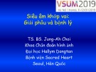 Bài giảng Siêu âm khớp vai: Giải phẫu và bệnh lý – TS. BS. Jung-Ah Choi