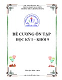 Đề cương ôn tập học kì 1 môn Hóa học 9 năm 2018-2019 - Trường THCS Chương Dương