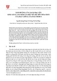 Ảnh hưởng của nano bạc lên khả năng nảy mầm và một số chỉ tiêu hóa sinh của hạt giống lúa Đài Thơm 8