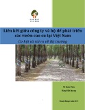 Báo cáo Liên kết giữa công ty và hộ để phát triển các vườn cao su tại Việt Nam – Cơ hội và rủi ro về thị trường