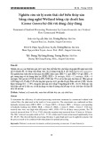 Nghiên cứu xử lý nước thải chế biến thủy sản bằng công nghệ Wetland trồng cây chuối hoa (Canna Generalis) đối với dòng chảy đứng