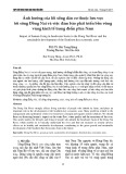 Ảnh hưởng của lối sống dân cư thuộc lưu vực tới sông Đồng Nai và việc đảm bảo phát triển bền vững vùng kinh tế trọng điểm phía Nam