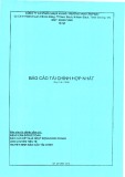 Báo cáo tài chính hợp nhất quý 2 năm 2018 - Công ty cổ phần Nhựa và Môi trường xanh An Phát