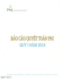 Báo cáo quyết toán PNJ quý 1 năm 2018 - Công ty cổ phần Vàng bạc Đá quý Phú Nhuận