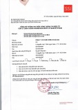 Báo cáo tỷ lệ an toàn tài chính năm 2018 - Công ty cổ phần Chứng khoán SSI
