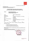 Báo cáo tài chính riêng giữa niên độ năm 2019 - Công ty cổ phần Chứng khoán SSI