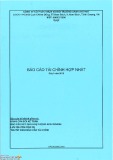 Báo cáo tài chính hợp nhất quý 1 năm 2019 - Công ty cổ phần Nhựa và Môi trường xanh An Phát