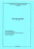 Báo cáo tài chính quý 1 năm 2018 - Công ty cổ phần Nhựa và Môi trường xanh An Phát