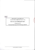 Báo cáo tài chính hợp nhất 6 tháng đầu năm 2019 - Tổng công ty Máy động lực và Máy nông nghiệp Việt Nam - CTCP