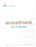 Báo cáo quyết toán PNJ quý 4 năm 2018 - Công ty cổ phần Vàng bạc Đá quý Phú Nhuận